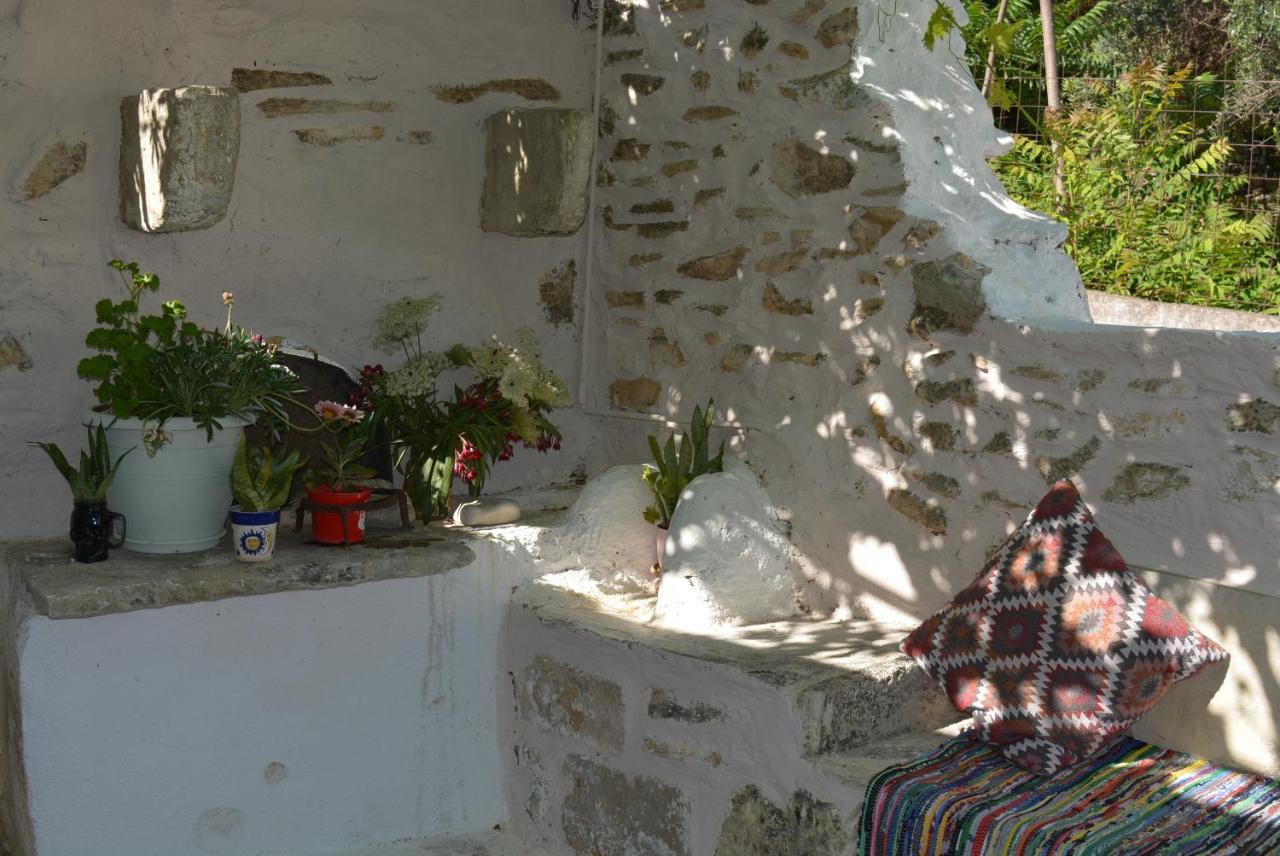 חאניה Sergios Village House מראה חיצוני תמונה